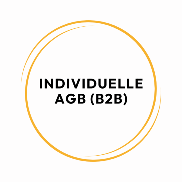 Individuelle AGB (B2B)